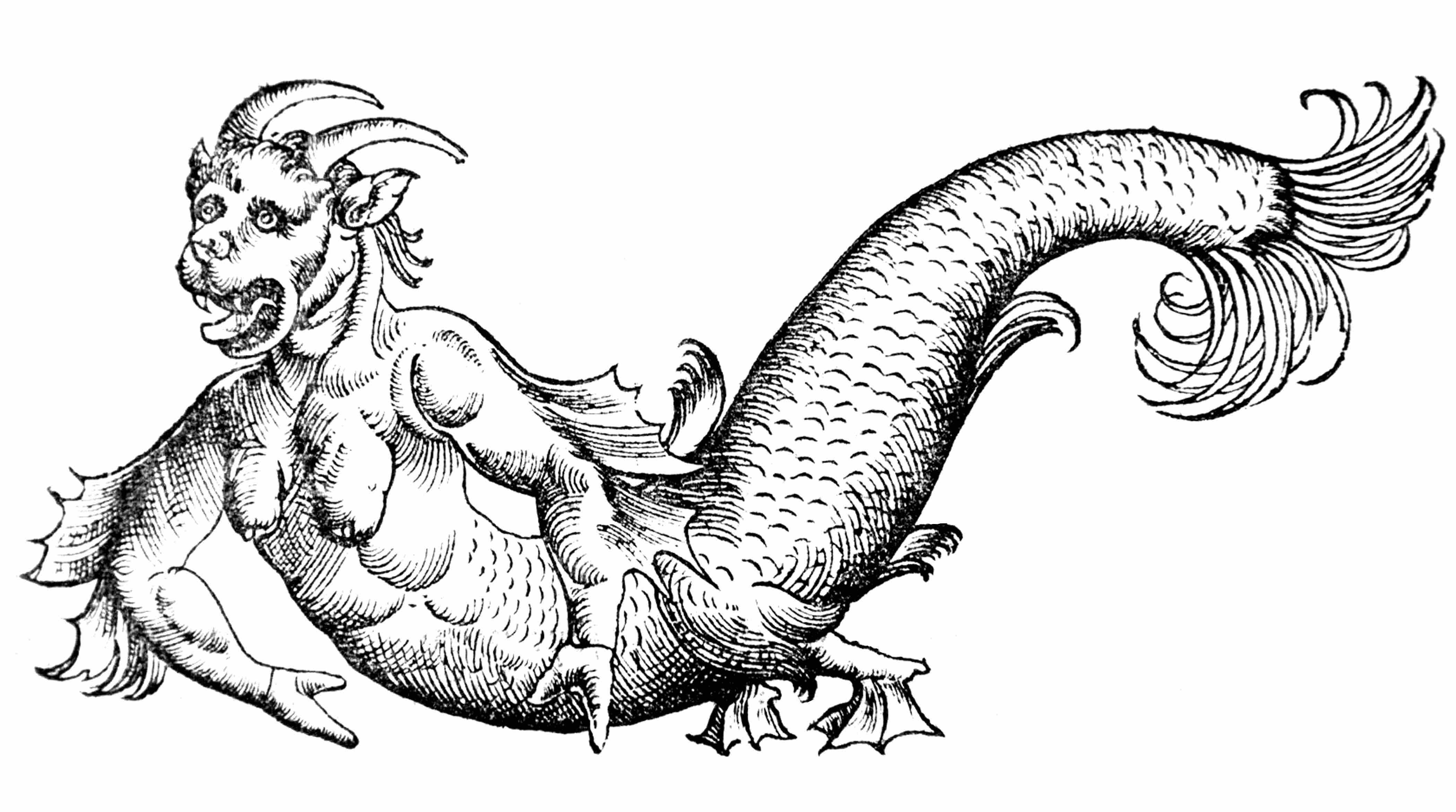 Drawing of an imaginary creature that looks like a mermaid with two horns on the head