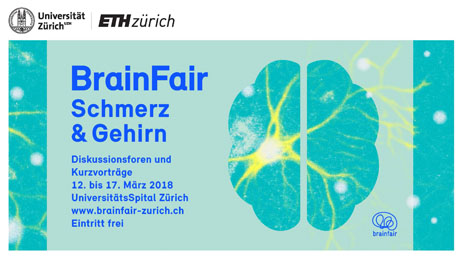 Brainfair Brainfair