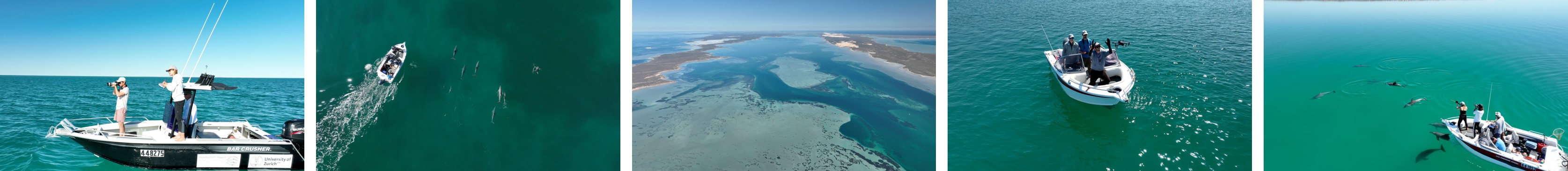 MNF research in Shark Bay