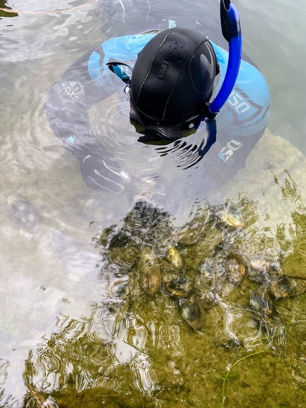 Scaled image People_in_Research/PR_3_sampling_duckmussel_Julie Elisabeth Conr.jpg