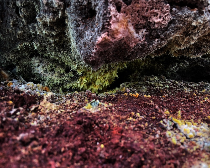Scaled image Research_Objects/RO_48_MG_3572 (1)_Jael Mencke.jpeg