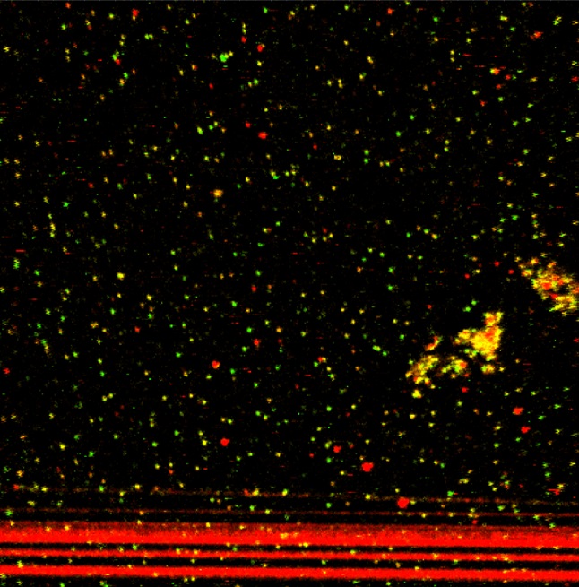 Scaled image Research_Objects/RO_16_Molecular Night Sky_Jan-Philipp Günther.jpg